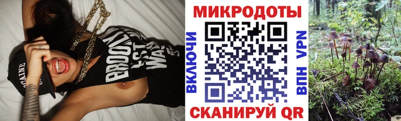 закладка  Чистополь  KRAKEN ТОР  Псилоцибиновые грибы прущие грибы 